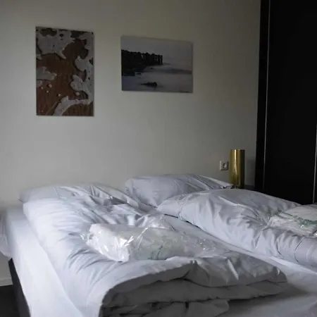 Enkhuizer Sonnenblume Vierte Reihe Mit Zaun Haus Nr 234 Enkhuizen