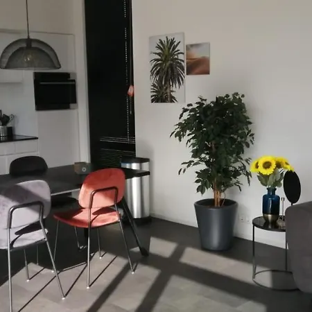 Enkhuizer Sonnenblume Vierte Reihe Mit Zaun Haus Nr 234 *