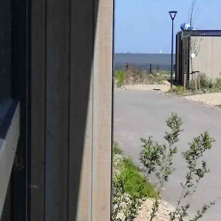Enkhuizer Sonnenblume Vierte Reihe Mit Zaun Haus Nr 234 Enkhuizen